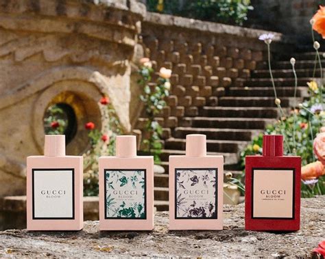 nước hoa gucci bloom mùi nào thơm nhất